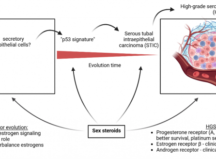 Article published in esteemed journal Progress in Lipid Research.